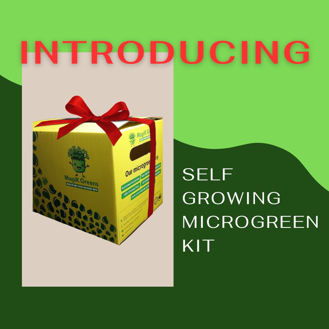 PREMIUM FESTIVE BOX (6)